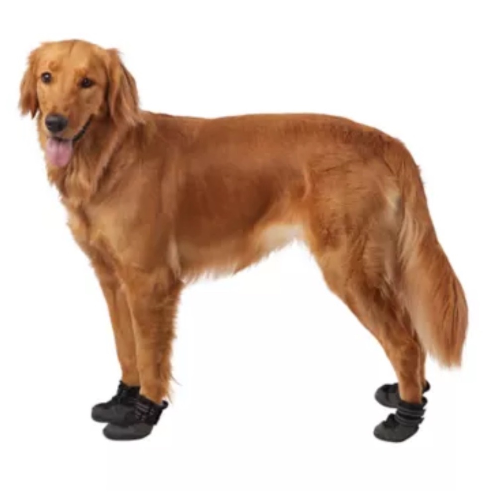 PET BOOTS  “ BEST BRAND” ❤️